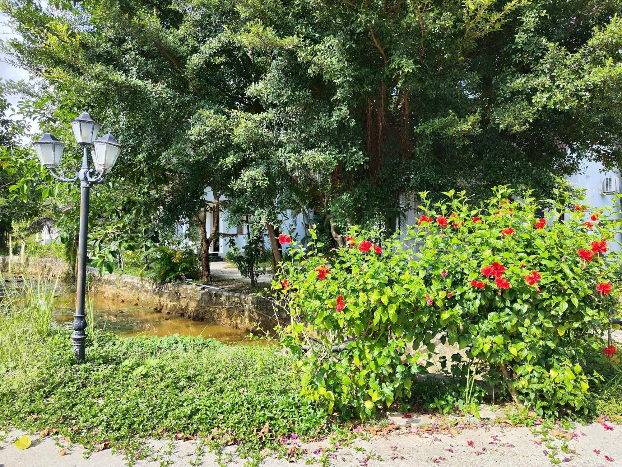 Y Village Resort Фукуок Екстер'єр фото
